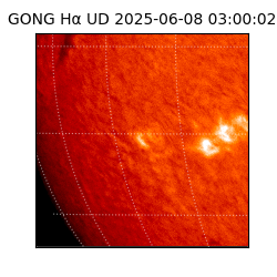 gong - 2025-06-08T03:00:02