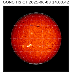 gong - 2025-06-08T14:00:42