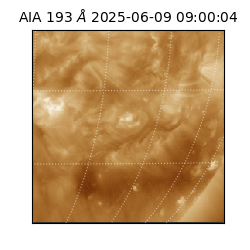 saia - 2025-06-09T09:00:04.843000