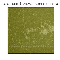 saia - 2025-06-09T03:00:14.126000