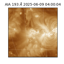 saia - 2025-06-09T04:00:04.846000