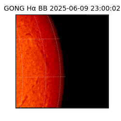gong - 2025-06-09T23:00:02