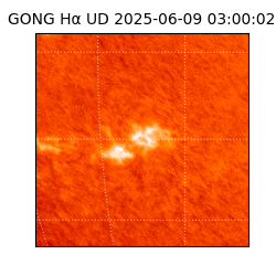 gong - 2025-06-09T03:00:02