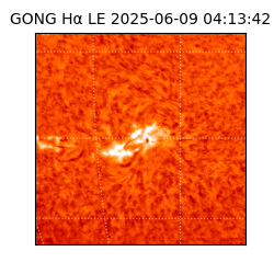 gong - 2025-06-09T04:13:42