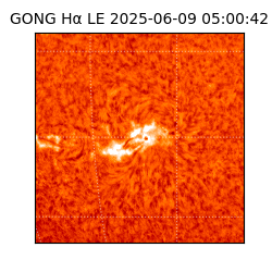 gong - 2025-06-09T05:00:42