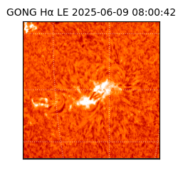 gong - 2025-06-09T08:00:42