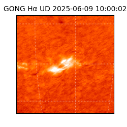 gong - 2025-06-09T10:00:02