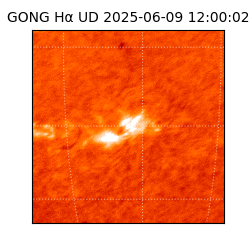 gong - 2025-06-09T12:00:02