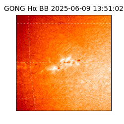 gong - 2025-06-09T13:51:02