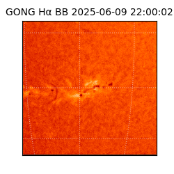 gong - 2025-06-09T22:00:02