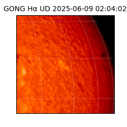 gong - 2025-06-09T02:04:02
