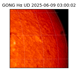 gong - 2025-06-09T03:00:02