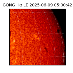 gong - 2025-06-09T05:00:42
