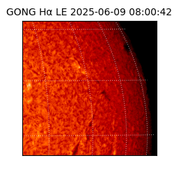gong - 2025-06-09T08:00:42