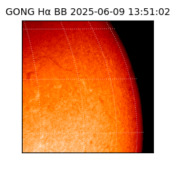 gong - 2025-06-09T13:51:02