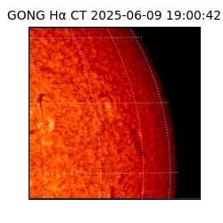 gong - 2025-06-09T19:00:42