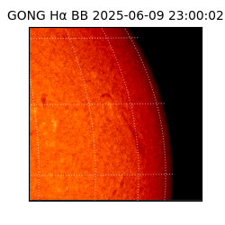 gong - 2025-06-09T23:00:02