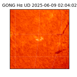 gong - 2025-06-09T02:04:02
