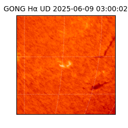 gong - 2025-06-09T03:00:02