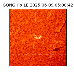 gong - 2025-06-09T05:00:42