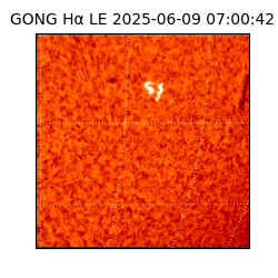 gong - 2025-06-09T07:00:42