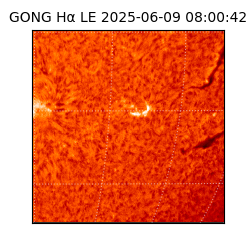 gong - 2025-06-09T08:00:42