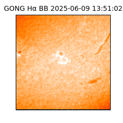 gong - 2025-06-09T13:51:02