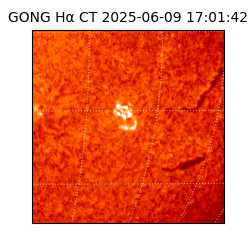 gong - 2025-06-09T17:01:42