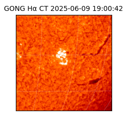 gong - 2025-06-09T19:00:42
