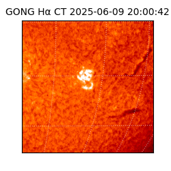 gong - 2025-06-09T20:00:42