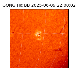 gong - 2025-06-09T22:00:02