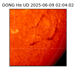 gong - 2025-06-09T02:04:02