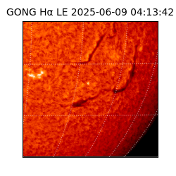 gong - 2025-06-09T04:13:42