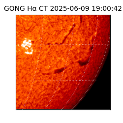 gong - 2025-06-09T19:00:42