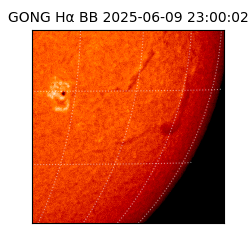 gong - 2025-06-09T23:00:02