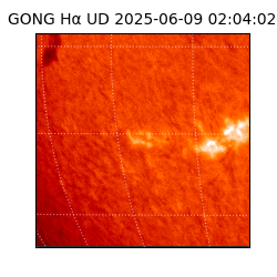 gong - 2025-06-09T02:04:02