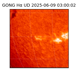 gong - 2025-06-09T03:00:02