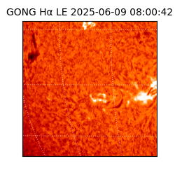 gong - 2025-06-09T08:00:42