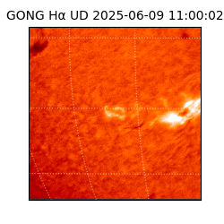 gong - 2025-06-09T11:00:02