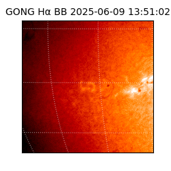 gong - 2025-06-09T13:51:02