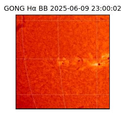 gong - 2025-06-09T23:00:02