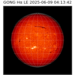 gong - 2025-06-09T04:13:42
