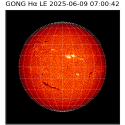 gong - 2025-06-09T07:00:42
