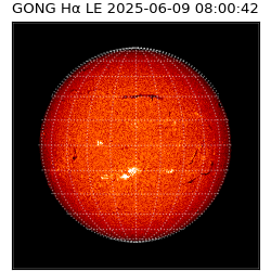 gong - 2025-06-09T08:00:42