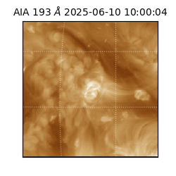 saia - 2025-06-10T10:00:04.846000