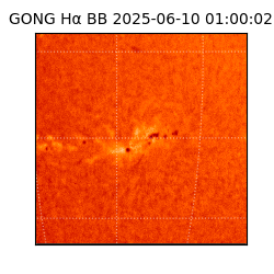 gong - 2025-06-10T01:00:02