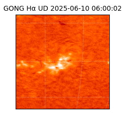 gong - 2025-06-10T06:00:02
