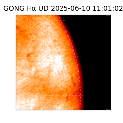 gong - 2025-06-10T11:01:02