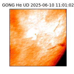 gong - 2025-06-10T11:01:02