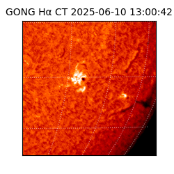 gong - 2025-06-10T13:00:42